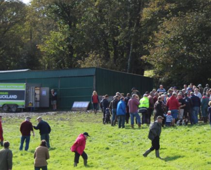 Live auction to take place at The West Country Farming And Machinery Show