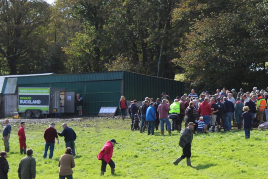 Live auction to take place at The West Country Farming And Machinery Show